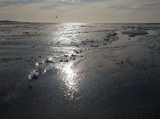 Aurora Schaar 1, 120qm, Wifi, Maisonette, Modern,2 Schlafzimmer, 1 Wohnzimmer Appartement